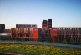 池州骨架油封报价